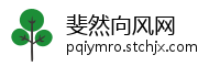 斐然向风网